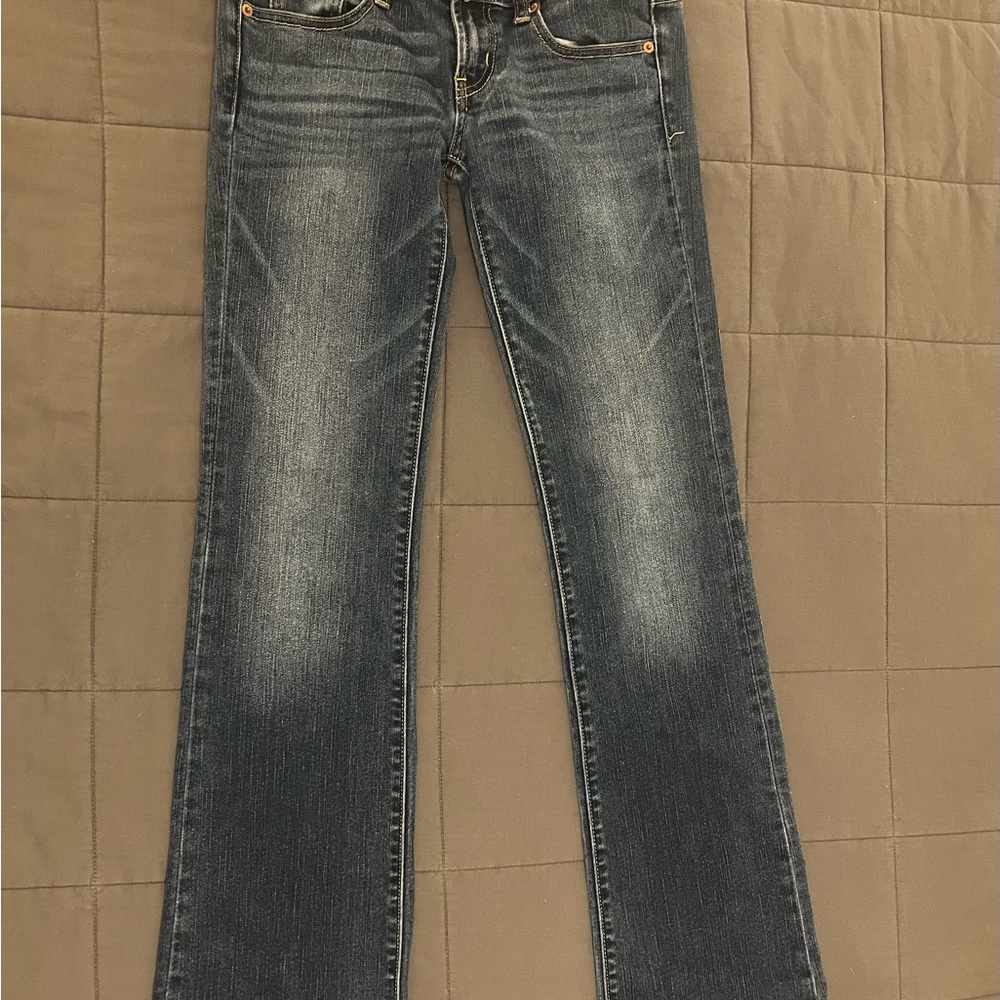 American Eagle Women’s size 2 (Favorite boyfriend style) dark blue stretch jeans